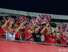 意甲传奇球星退役,感谢球迷支持 意甲传奇球星退役,感谢球迷支持